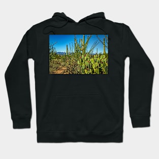 Saguaro National Park Hoodie